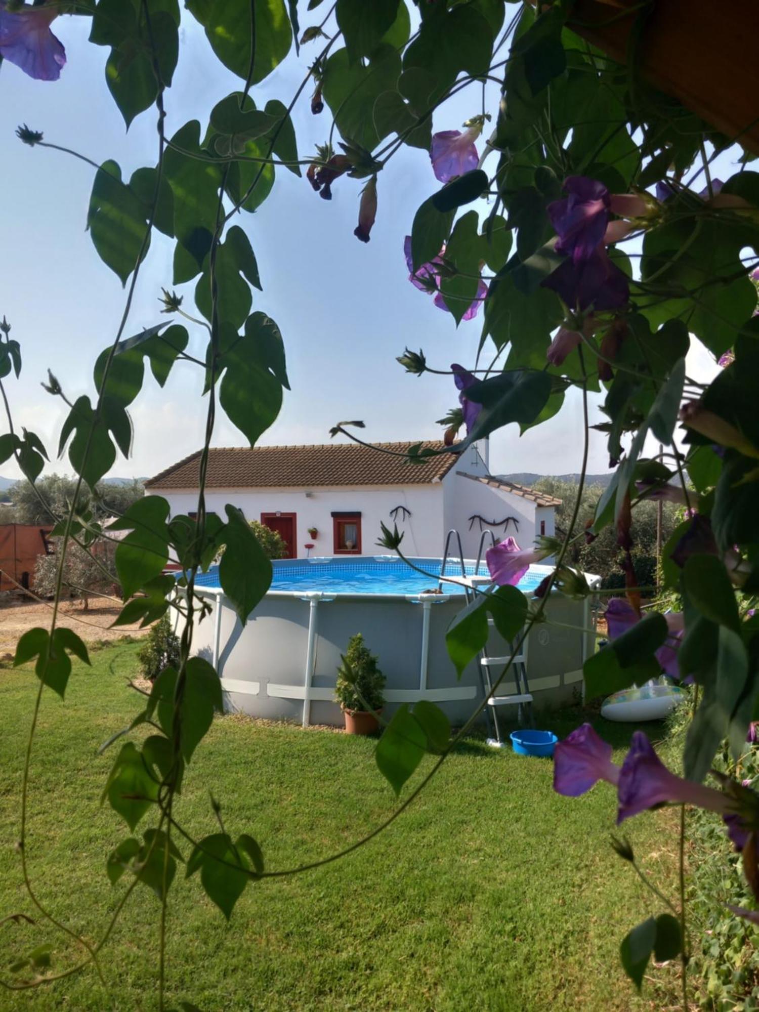 Casa Rural Camino De Los Molinos Y Su Establo La Puebla de los Infantes Exterior foto