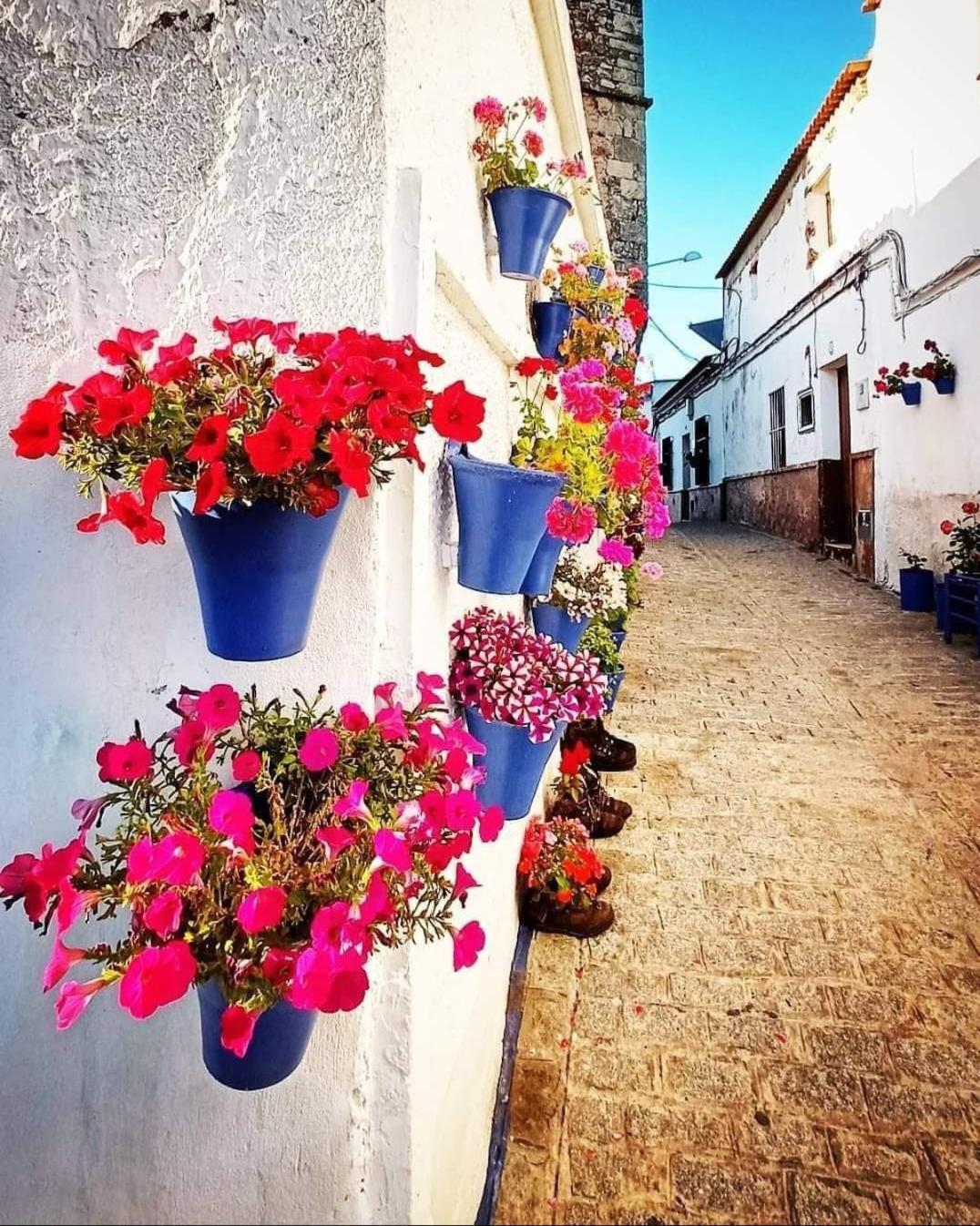 Casa Rural Camino De Los Molinos Y Su Establo La Puebla de los Infantes Exterior foto